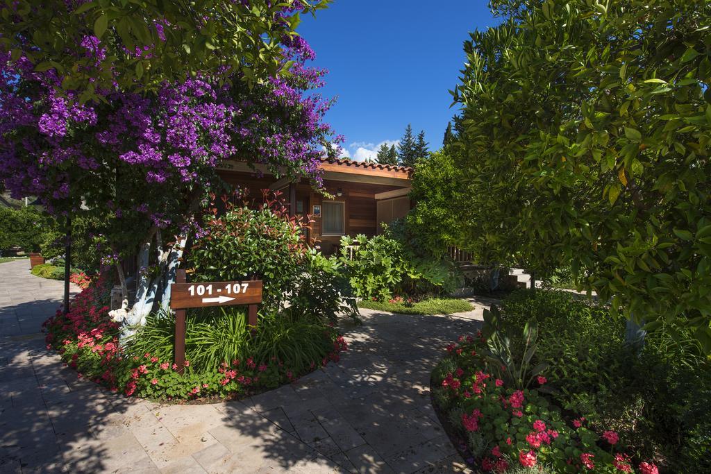 Kimera Lounge Boutique Hotel & Spa Çıralı Kültér fotó